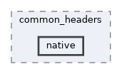 src/middleware/utils/common_headers/native